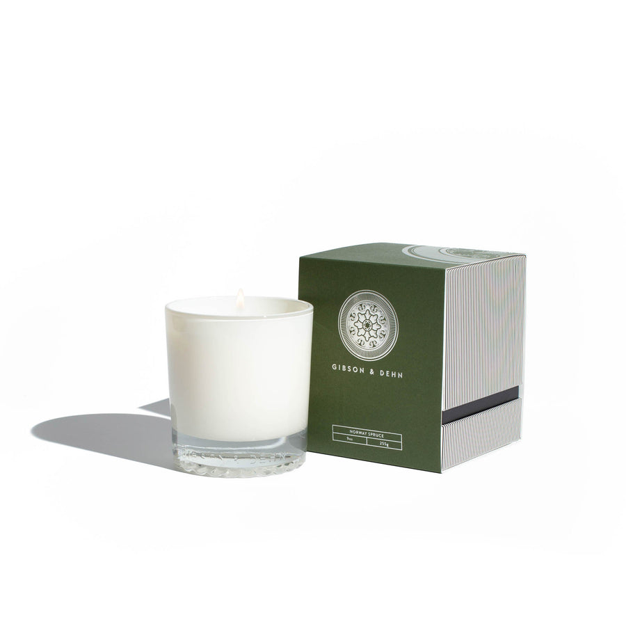 NORWAY SPRUCE | Single Wick Candle
